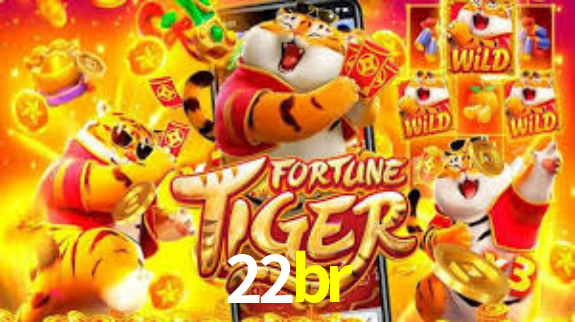 22br